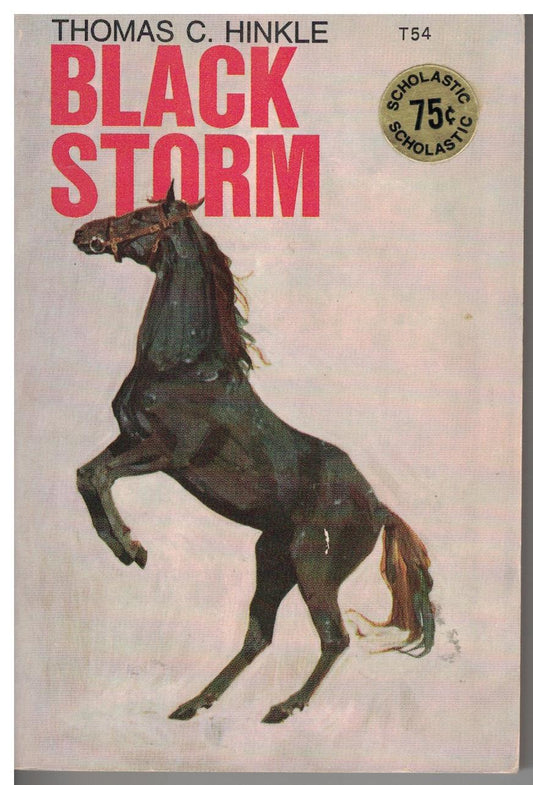 Black Storm by Thomas Hinkle