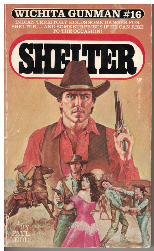 Shelter #16 - Wichita Gunman by Paul Ledd